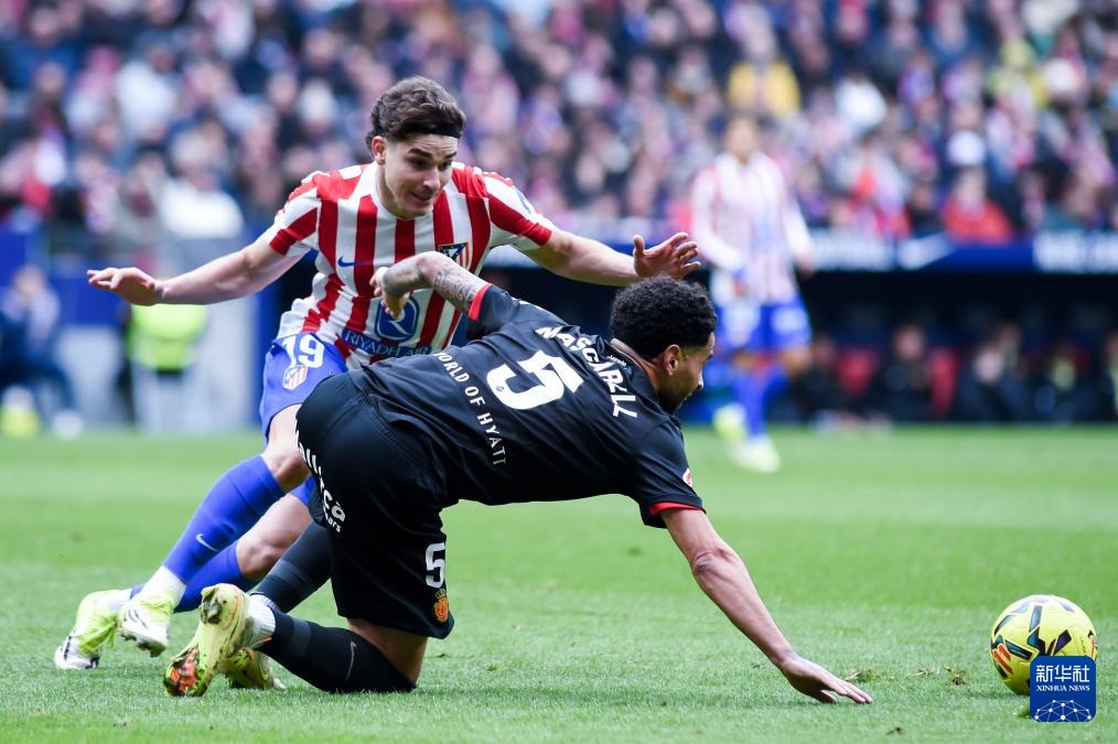 CBA：浙江主场力克辽宁 约克命中8记三分球